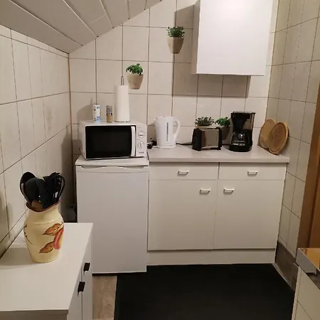 Haus Bergblick Am Grünen 3*