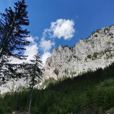 Haus Bergblick Am Gruenen Nocleg ze śniadaniem 3*