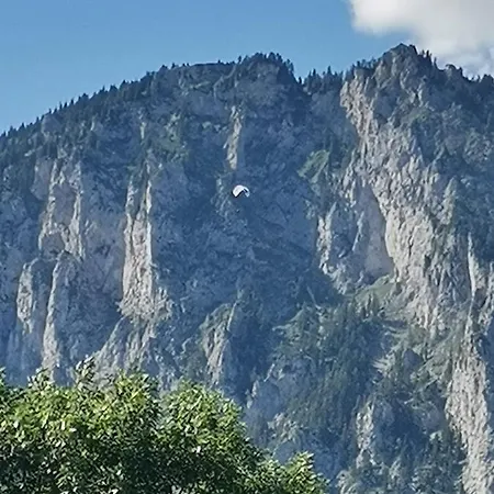 Haus Bergblick Am Gruenen Oberort