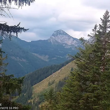 Oda ve Kahvaltı Haus Bergblick Fruehstueckspension Oberort