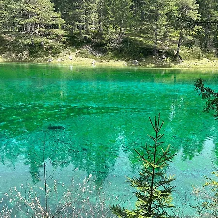 Bed & Breakfast Haus Bergblick Am Gruenen Oberort