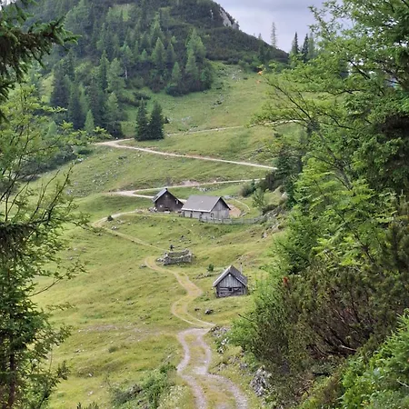 Haus Bergblick Am Gruenen See Nocleg ze śniadaniem