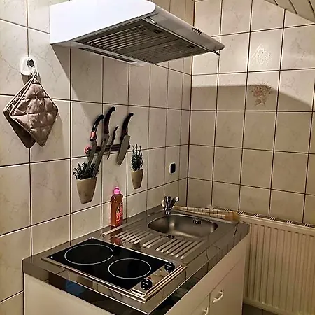 ベッド・アンド・ブレックファスト Haus Bergblick Am Gruenen 3*