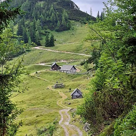 Haus Bergblick Am Gruenen 3*
