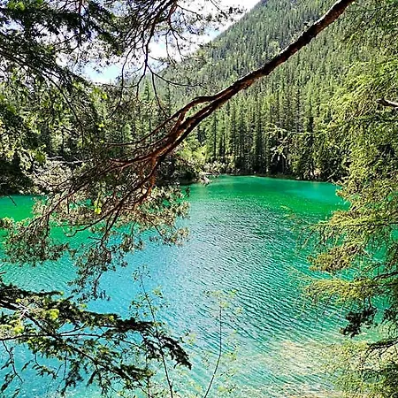 ベッド・アンド・ブレックファスト Haus Bergblick Am Gruenen Oberort