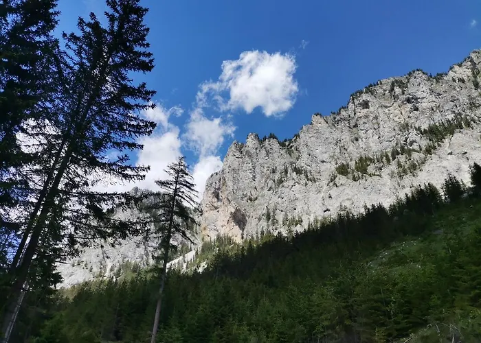 Haus Bergblick Am Gruenen ベッド・アンド・ブレックファスト 3*