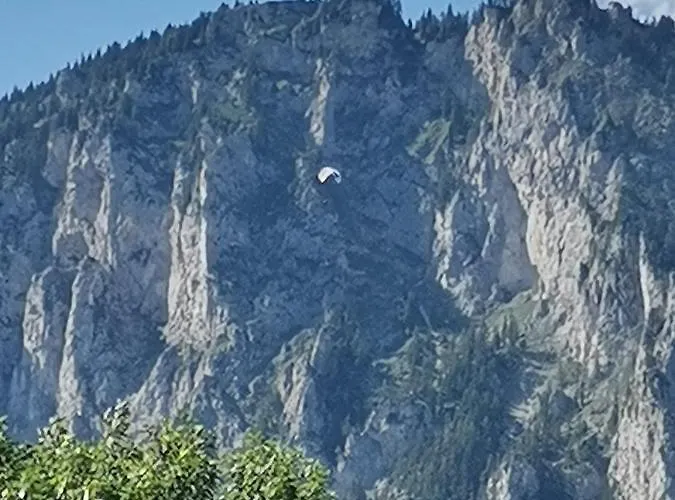 Haus Bergblick Am Gruenen Oberort