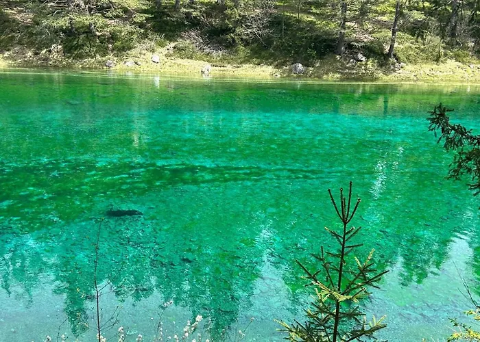 Bed & Breakfast Haus Bergblick Am Gruenen Oberort